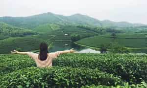 参观新疆茶文化空间,你会有很多难忘的经历。