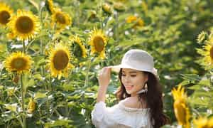 Check in sống ảo vườn hoa đầy hương sắc