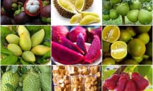 Vựa trái cây lớn nhất Việt Nam- Miệt vườn Cái Bè