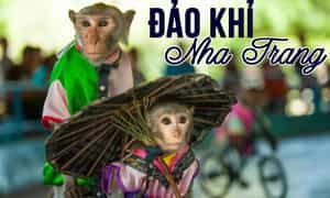 Thưởng thức các chương trình biểu diễn của các nghệ sĩ Khỉ