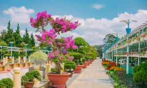 Kể từ khi hoạt động trở lại vào năm 1985, vườn hoa tại Đà Lạt là nơi trú ngụ của hàng trăm loài hoa quý hiếm từ nội đến ngoại