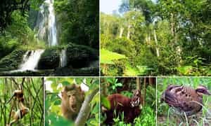 Vườn thực vật Phong Nha
