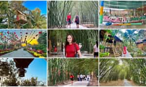 Sở hữu vẻ đẹp bình dị cùng không gian trong lành đáng thưởng ngoạn, vườn tre Tư Sang thu hút đông đảo tín đồ du lịch tìm đến trải nghiệm