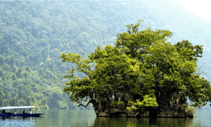 Cảnh sông nước trong xanh ở đảo Bà Góa - hồ Ba Bể