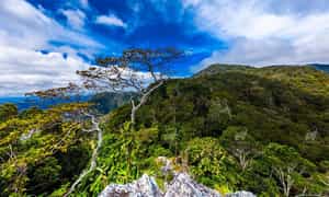 要探索 Kon Bong 瀑布，您需要前往 Kon Ka Kinh 国家公园