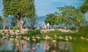 Khám phá King’s Garden Nha Trang, du khách sẽ được hòa mình vào một thế giới muôn loài thú quý hiếm