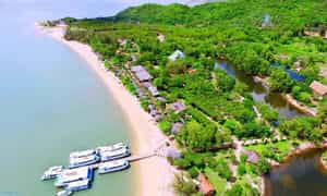 Nơi này là nhà của hơn 1500 con khỉ sống tự nhiên trên đảo, nơi sáng sáng thức dậy chúng sẽ tập trung đến khu vực trung tâm của vườn khỉ