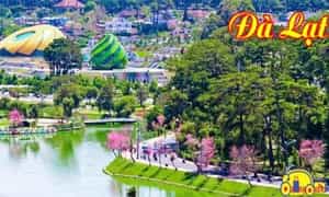 Khu du lịch Đà Lạt - góc nhìn từ xa