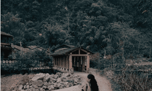 Làng đá Khuổi Ky có hơn 400 năm tuổi