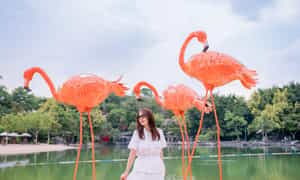 短暂周末来Suoi Mo旅游区治愈自己