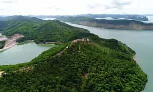 Đảo Thẻ Vàng Quảng Ninh được bao quanh bởi rừng rậm xanh mát