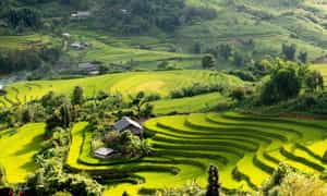 Cao nguyên Dào San sở hữu cảnh sắc thiên nhiên xinh đẹp hữu tình, khí hậu mát lành dễ chịu.