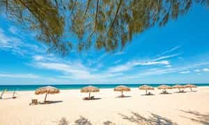 Biển xanh - cát trắng - nắng vàng