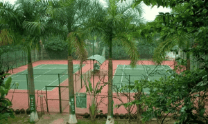 Khu du lịch sinh thái Cọ Xanh có đến 2 sân Tennis đạt chuẩn quốc tế phục vụ khách du lịch.