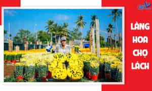 Làng hoa Cái Mơn, Chợ Lách
