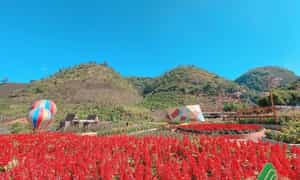 Chiêm ngưỡng những vẻ đẹp thơ mộng tại khu thăm quan Happy land
