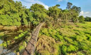 Hiện nay, những khu vườn quốc gia bảo tồn thiên nhiên trở thành lựa chọn hàng đầu của nhiều du khách.