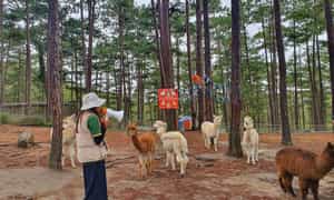 Vườn thú Zoodoo Đà Lạt tọa lạc tại tiểu khu 94A, xã Đa Nhim, huyện Lạc Dương, tỉnh Lâm Đồng, cách trung tâm thành phố Đà Lạt khoảng 34km.