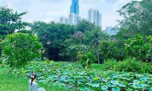 享受诗意背景的虚拟生活