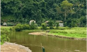 Những nếp nhà sàn cổ ẩn mình giữa núi rừng Bắc Kạn.