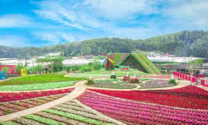 Một góc Fresh Garden Dalat với đủ gam màu rực rỡ, bắt mắt