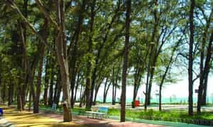 Mùa hè là lúc nhiều du khách đổ về công viên Đồi Dương nhất