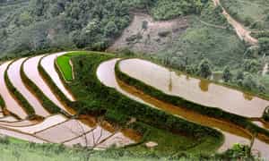 Ruộng bậc thang thôn Khe Táu, xã Phong Dụ Thượng đang trở thành một điểm du lịch hấp dẫn cho du khách