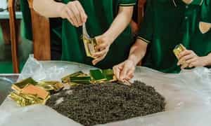 来到这里,你将了解茶文化。