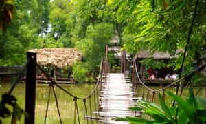 Cây cầu khỉ tại Khu du lịch sinh thái Cọ Xanh
