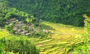 Du lịch khu bảo tồn thiên nhiên Pù Luông