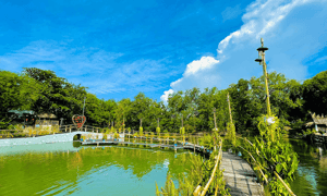 Chiêm ngưỡng khung cảnh thơ mộng – đậm chất Nam Bộ