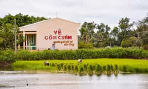 "Ốc đảo sinh thái" Cồn Chim tọa lạc tại huyện Châu Thành, tỉnh Trà Vinh