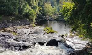 这座瀑布在茫茫山林中有着一种狂野、雄伟而又同样富有诗意的美感，成为许多年轻人理想的驻足之地。