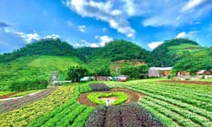 Ngắm nhìn không gian xinh đẹp của Mộc Châu Happy Land