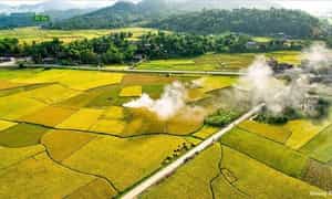 Cánh đồng Mường Lò - Góc nhìn trên cao