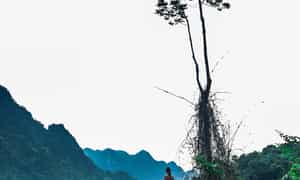 Đến đây bạn được chiêm ngưỡng hệ sinh thái phong phú của Phong Nha
