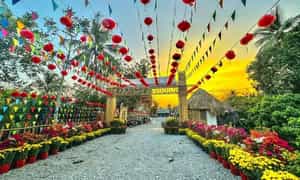 Vườn tre Tư Sang Hậu Giang nổi tiếng với khung cảnh thanh bình cùng vẻ đẹp giản dị đúng chất miền Tây Nam Bộ