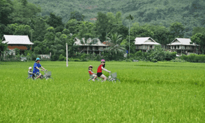 客人可以租用自行车游览Ban Lac Mai Chau。