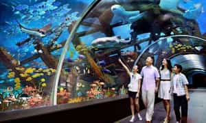 Thủy cung Vinpearl Nha Trang
