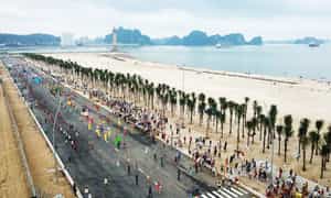 Hoạt động tại Bãi Cháy
