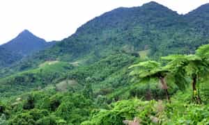 Ca Dam 山被认为是广义省的屋顶,海拔 1,413m,游客经常选择这里作为理想的云狩猎地点。