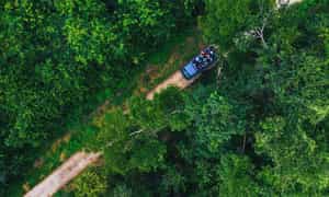 Tham gia Trekking và khám phá hệ sinh thái trong rừng