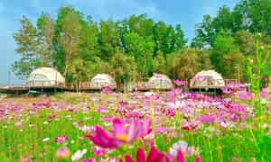 Tuy chỉ mới xuất hiện gần đây nhưng The Emma Glamping thu hút nhiều bạn trẻ với không gian xinh xắn, ngắm hoàng hôn lãng mạn bên hồ Trị An.