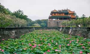 顺化Tinh Tam湖莲花盛开