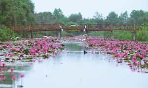 Con kênh hiền hòa thơ mộng