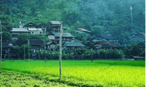Thôn bản Pác Ngòi lưng dựa vào núi rừng đồ sộ.