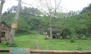 汤姆山的宁静风景。