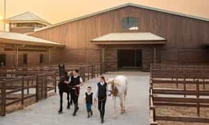 您将学习如何在Vinpearl Horse Academy Vu Yen骑专业马匹
