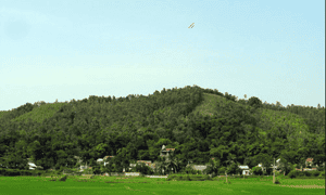 夏天是您来Tham Mountain的理想时机