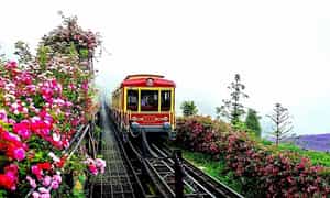 Thung lũng hoa hồng Sa Pa thuộc địa phận xóm 1, đường Mường Hoa, thị xã Sa Pa, tỉnh Lào Cai, cách trung tâm thị xã khoảng 3km về hướng Tây Nam.